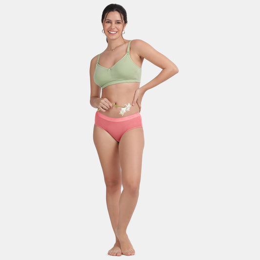 Envie Medium Rise 3/4th Rear Coverage Hipster(Pack Of 2) - NVP2059(Woodrose fair Green)