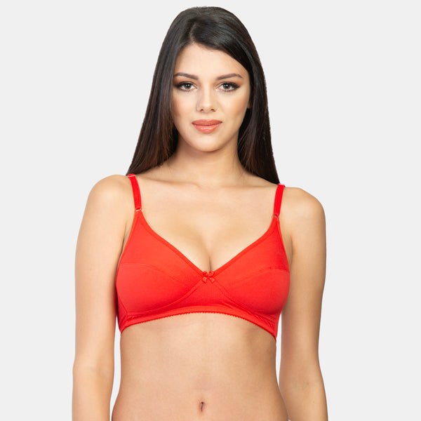 Envie Pack of 2 Non-Padded Non-Wired 3/4th Coverage Minimizer Bra - NVB1001 (True Red)