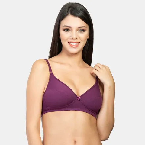 Best minimiser bra India plum Envie NVB1001 non padded non wired 3/4th coverage daily wear comfort bra