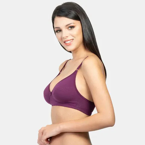 Best minimiser bra India plum Envie NVB1001 non padded non wired 3/4th coverage daily wear comfort bra