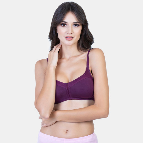 Envie Non-Padded Non-Wired 3/4th Coverage T-Shirt Bra - NVB1031 (Plum)