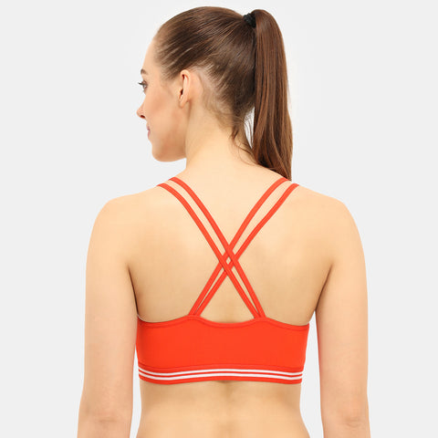 Envie Padded Non-Wired Full Coverage Sports Bra - NVB1069 (Fiesta)