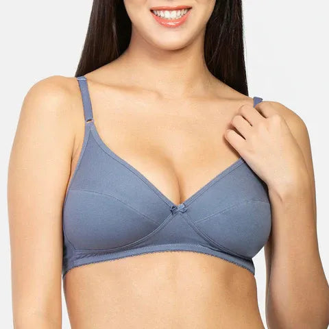 Best minimiser bra India grisaille Envie NVB1001 non padded non wired 3/4th coverage daily wear comfort bra