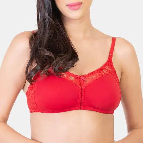 Maroon minimiser lace bra Envie non padded non wired full coverage comfortable everyday bra