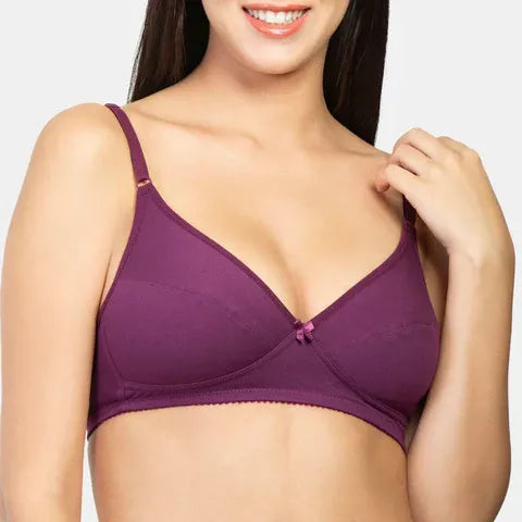 Best minimiser bra India plum Envie NVB1001 non padded non wired 3/4th coverage daily wear comfort bra