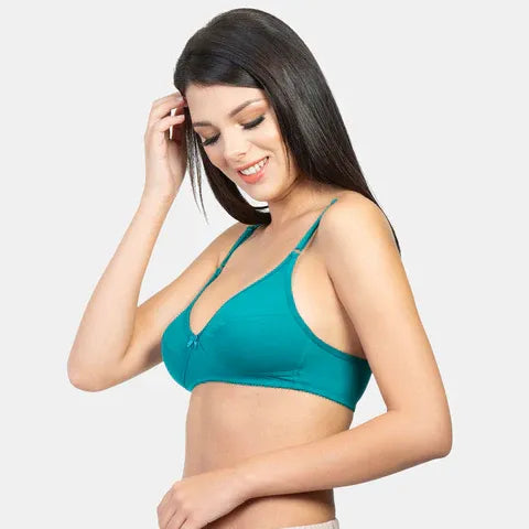 Envie minimiser bra non padded non wired 3/4th coverage NVB1001 royal blue smooth fit everyday comfort bra for women