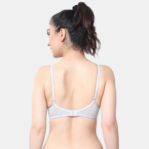 Envie Non-Padded Non-Wired 3/4th Coverage T-Shirt Bra - NVB1087 (Grey Melange)