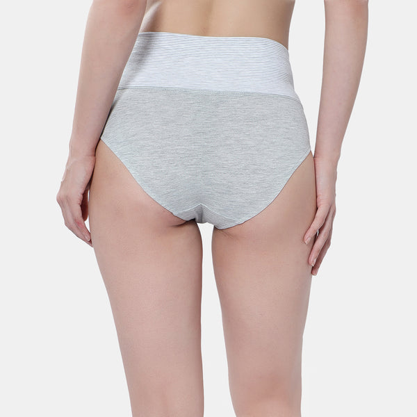 Envie High Rise Full Coverage Tummy Tucker Panty NVP2024 (Grey Melange)