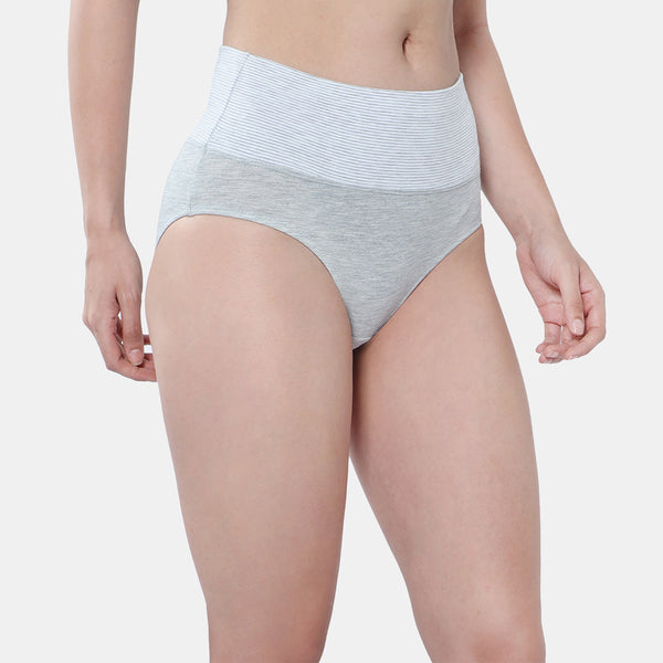 Envie Pack of 2 High Rise Full Coverage Tummy Tucker Panty - NVP2024 (Grey Melange)